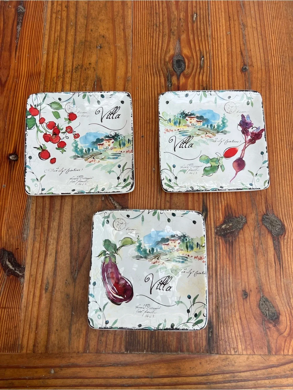 CERTIFIED INTERNATIONAL Julie Paton Villa Canape Plate Dash Of That 3 Plates NWT